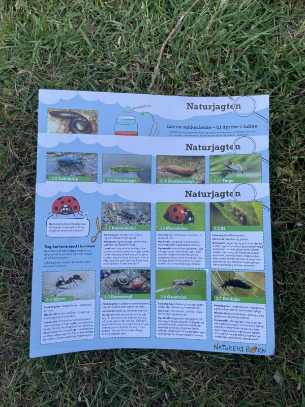 Aktivitetsfolder og naturjagten sommer - Image 2